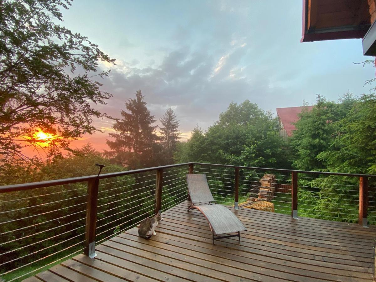 Carpathian Log Home Бран Экстерьер фото
