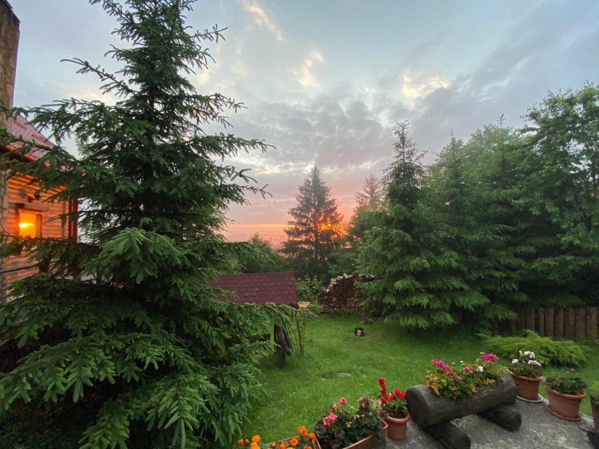 Carpathian Log Home Бран Экстерьер фото